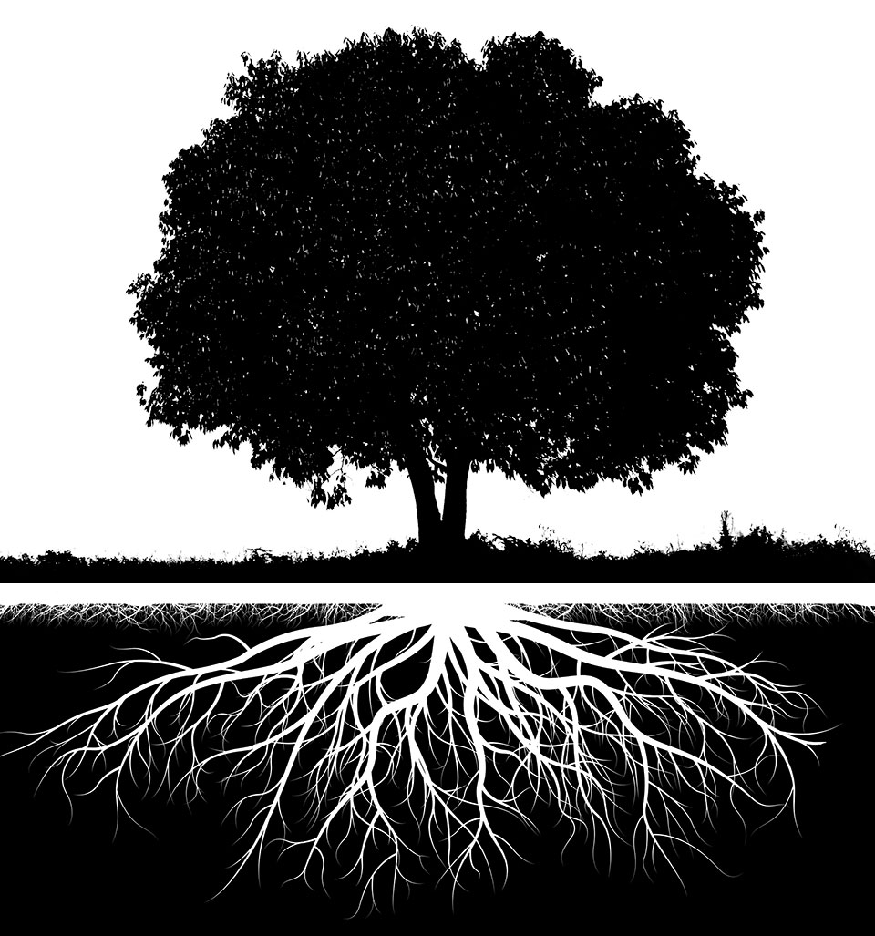 AdobeStock_204180262_Web