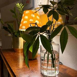 Ljus och blomma på Studio Hember. Fotograf: Love Taylor.