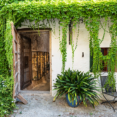 orakers_gard_detail_3_400_web