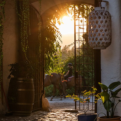 orakers_gard_detail_4_400_web