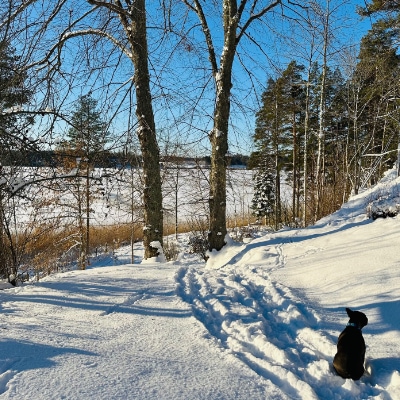 orakers_gard_detail_1_400_web