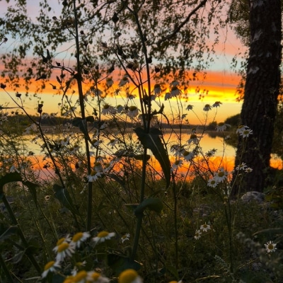 orakers_gard_detail_4_400_web